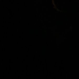 Meet your Posher, Johnson